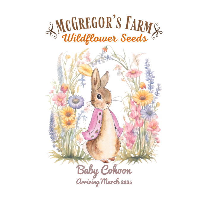 Pink Vintage Bunny Baby Shower or Birth Announcement