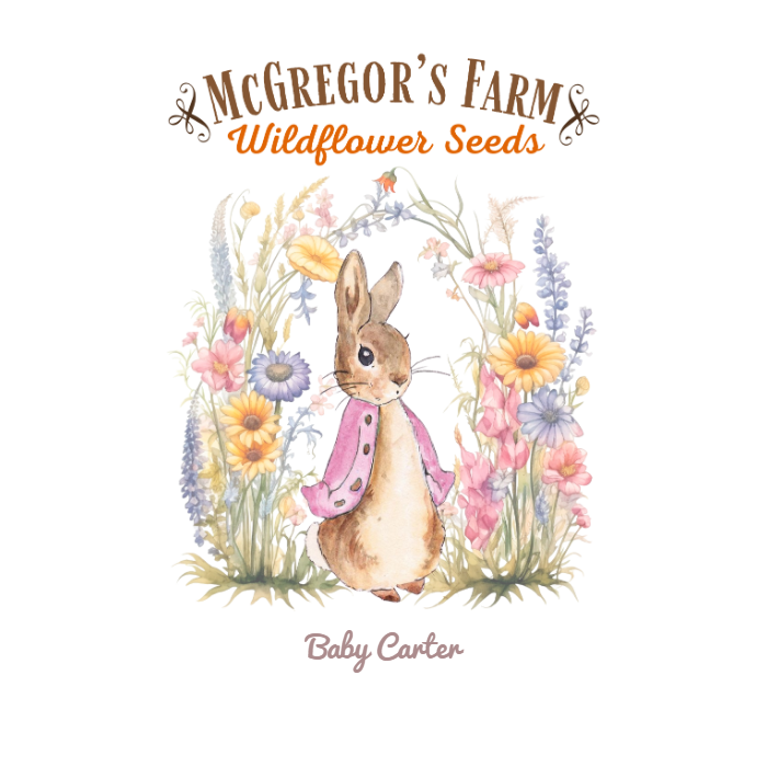Pink Vintage Bunny Baby Shower or Birth Announcement