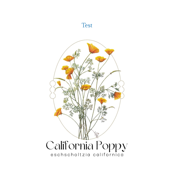 Romantic California Poppy Seed Packet