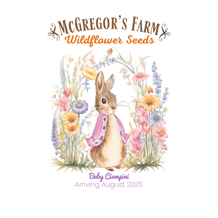 Pink Vintage Bunny Baby Shower or Birth Announcement