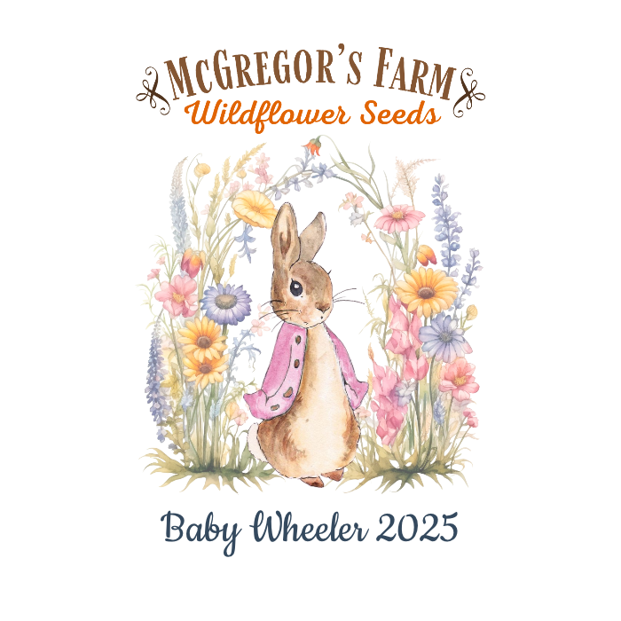 Pink Vintage Bunny Baby Shower or Birth Announcement
