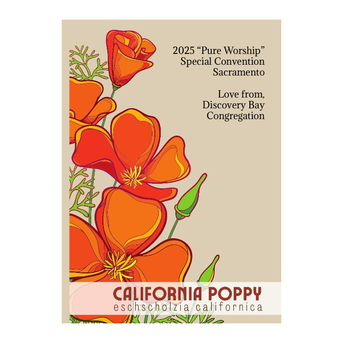 Bold California Poppy Seed Packet