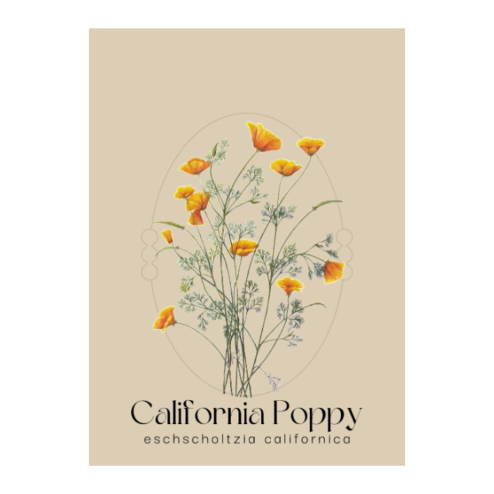 Romantic California Poppy Seed Packet
