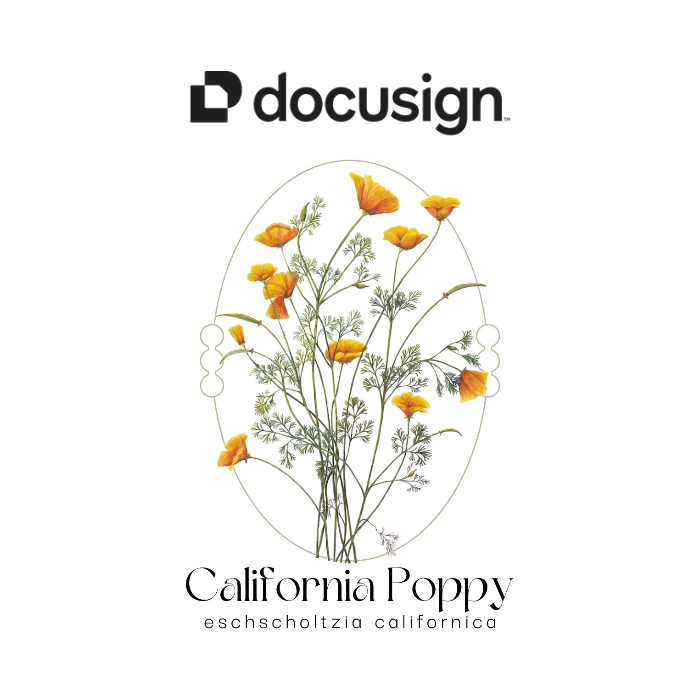 Romantic California Poppy Seed Packet