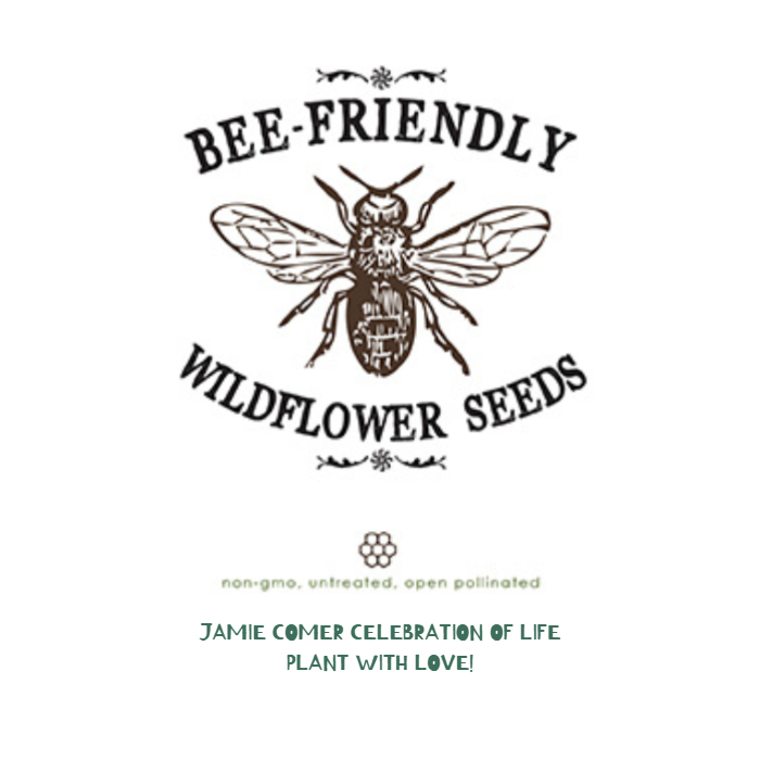 Bee-Friendly Wildflowers