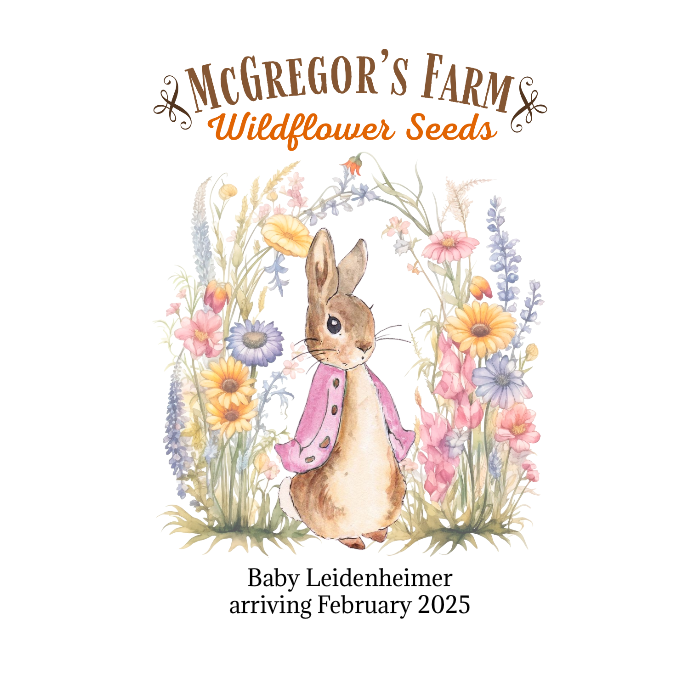 Pink Vintage Bunny Baby Shower or Birth Announcement