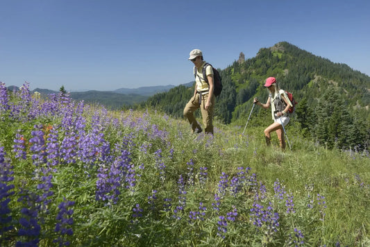A man and woman hiking up a grassy hilside covered with blue wildflowers. A mountain peak is in the background