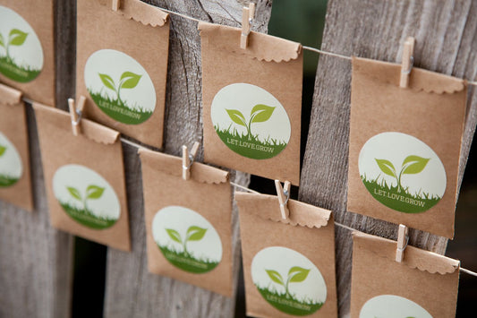 Seed packets held onto a string line with tiny clothespins. The seed packets have stickers with green leaves on them.