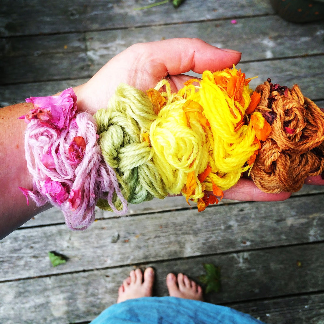 Using Wildflowers for Natural Dyeing: A Guide