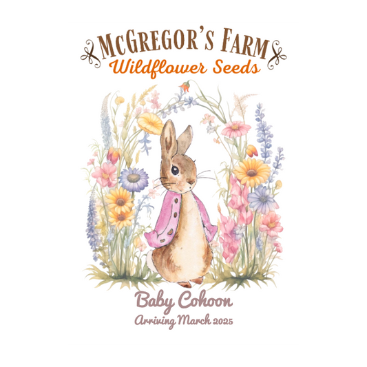 Pink Vintage Bunny Baby Shower or Birth Announcement