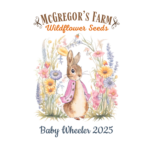 Pink Vintage Bunny Baby Shower or Birth Announcement