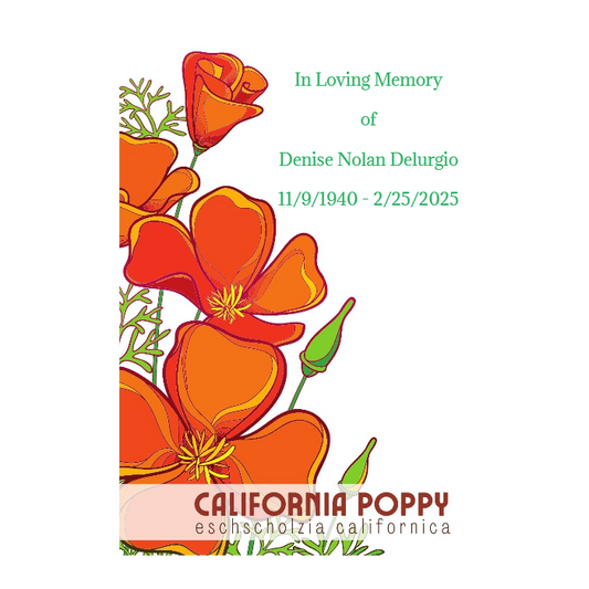 Bold California Poppy Seed Packet