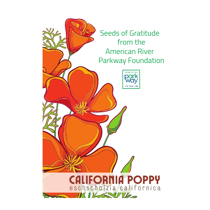 Bold California Poppy Seed Packet