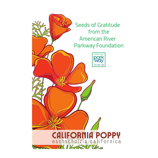 Bold California Poppy Seed Packet