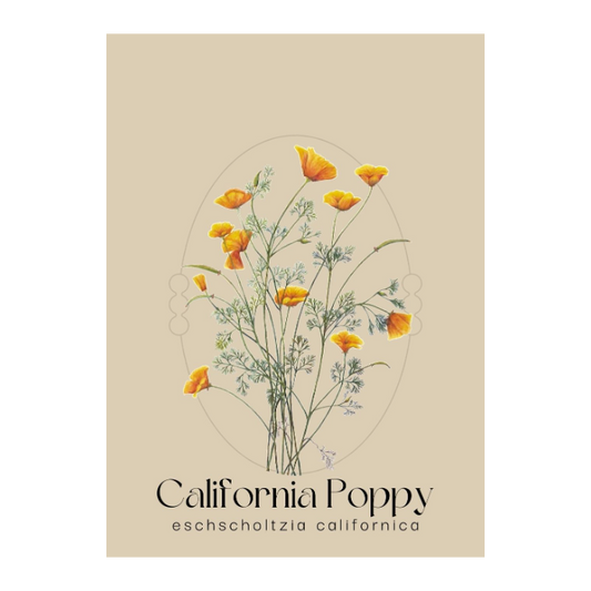 Romantic California Poppy Seed Packet