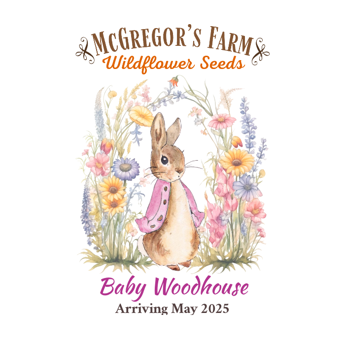Pink Vintage Bunny Baby Shower or Birth Announcement