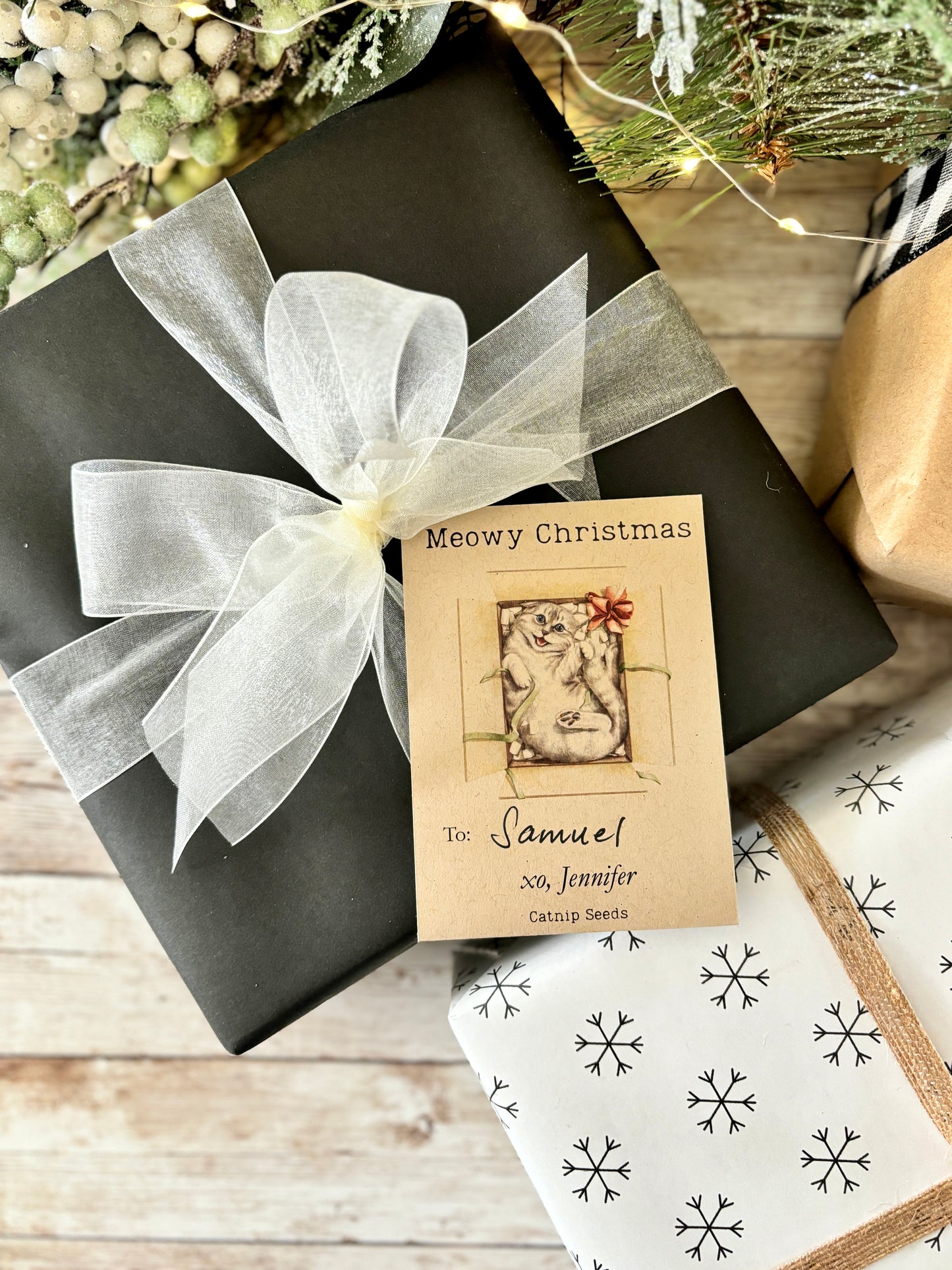 Surprise Kitty Custom Gift Tag or Promotional Seed Packet