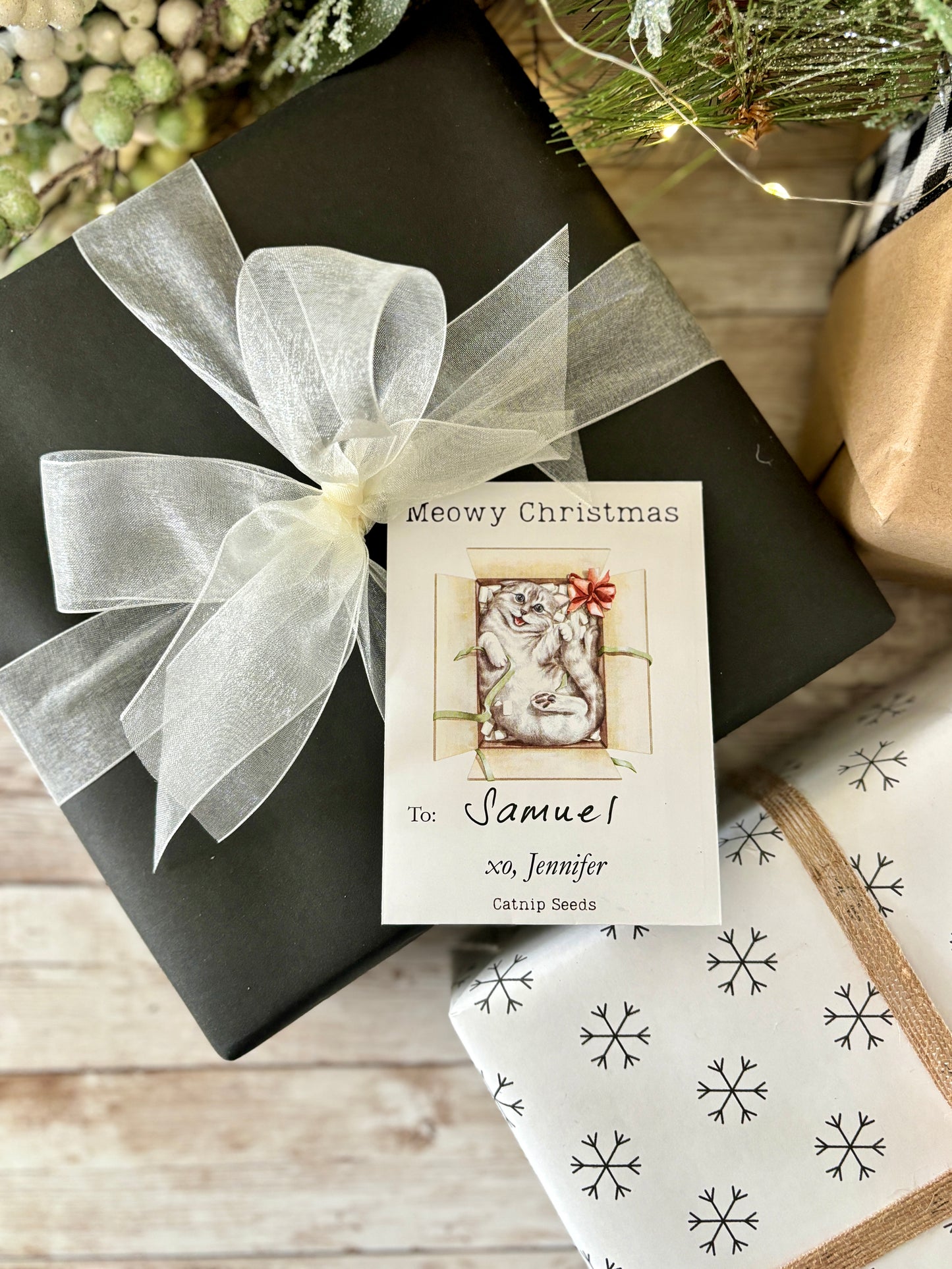 Surprise Kitty Custom Gift Tag or Promotional Seed Packet