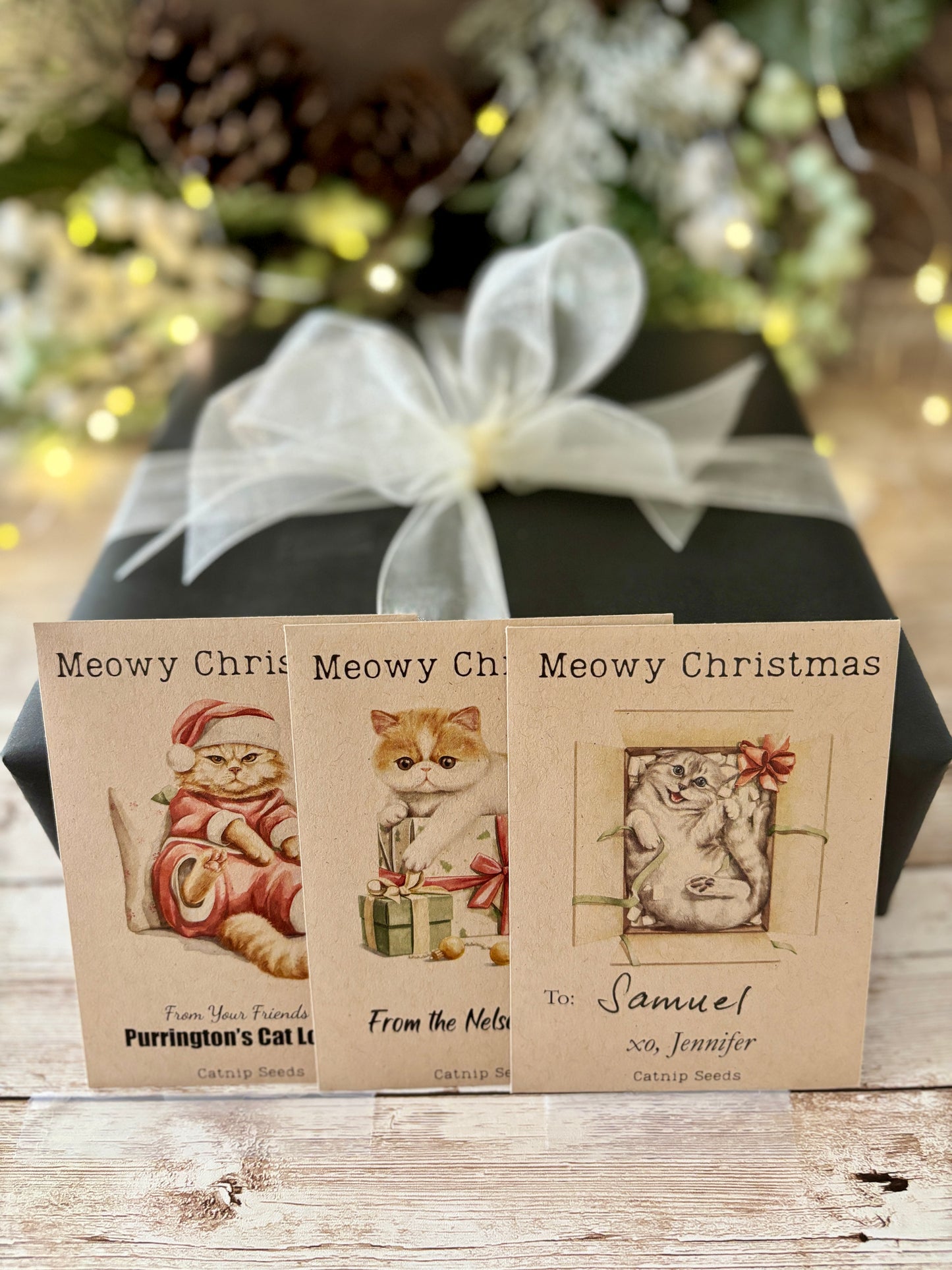 Set of 9 Cute Kitty Christmas Gift Tags with Catnip Seeds