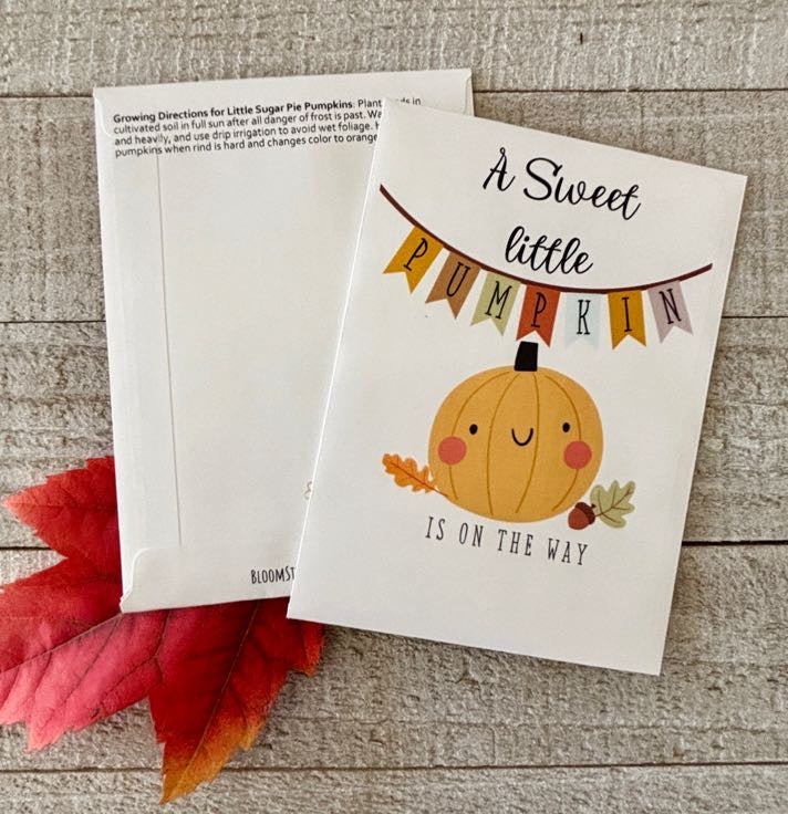 Sweet Little Pumpkin Cute Baby Shower Favor