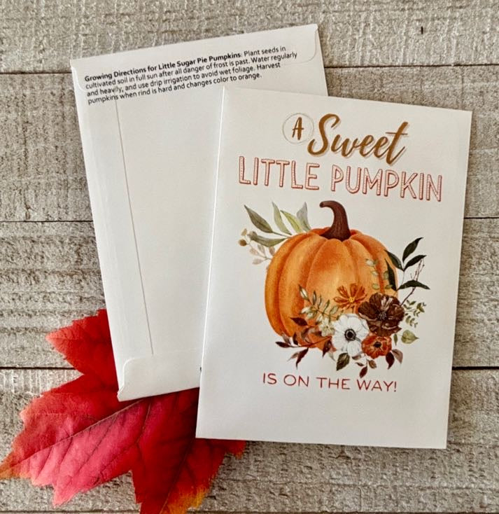 pie pumpkin seeds for planting Sweet Little Pumpkin Orange Seed Packets – Baby Shower – Bloom Street Packets