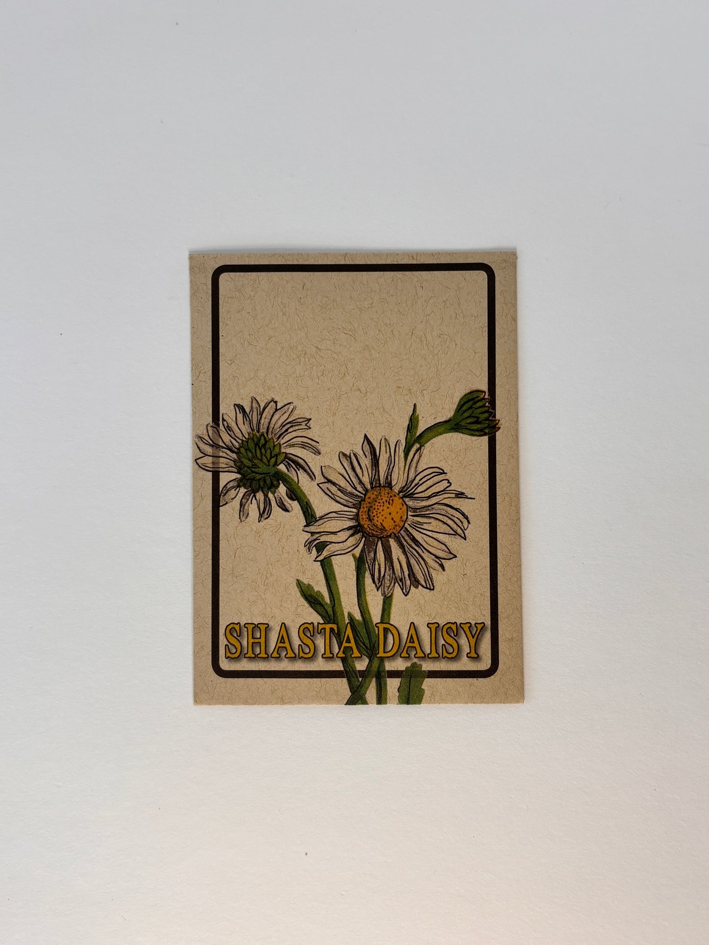 Shasta Daisy Farm Stand