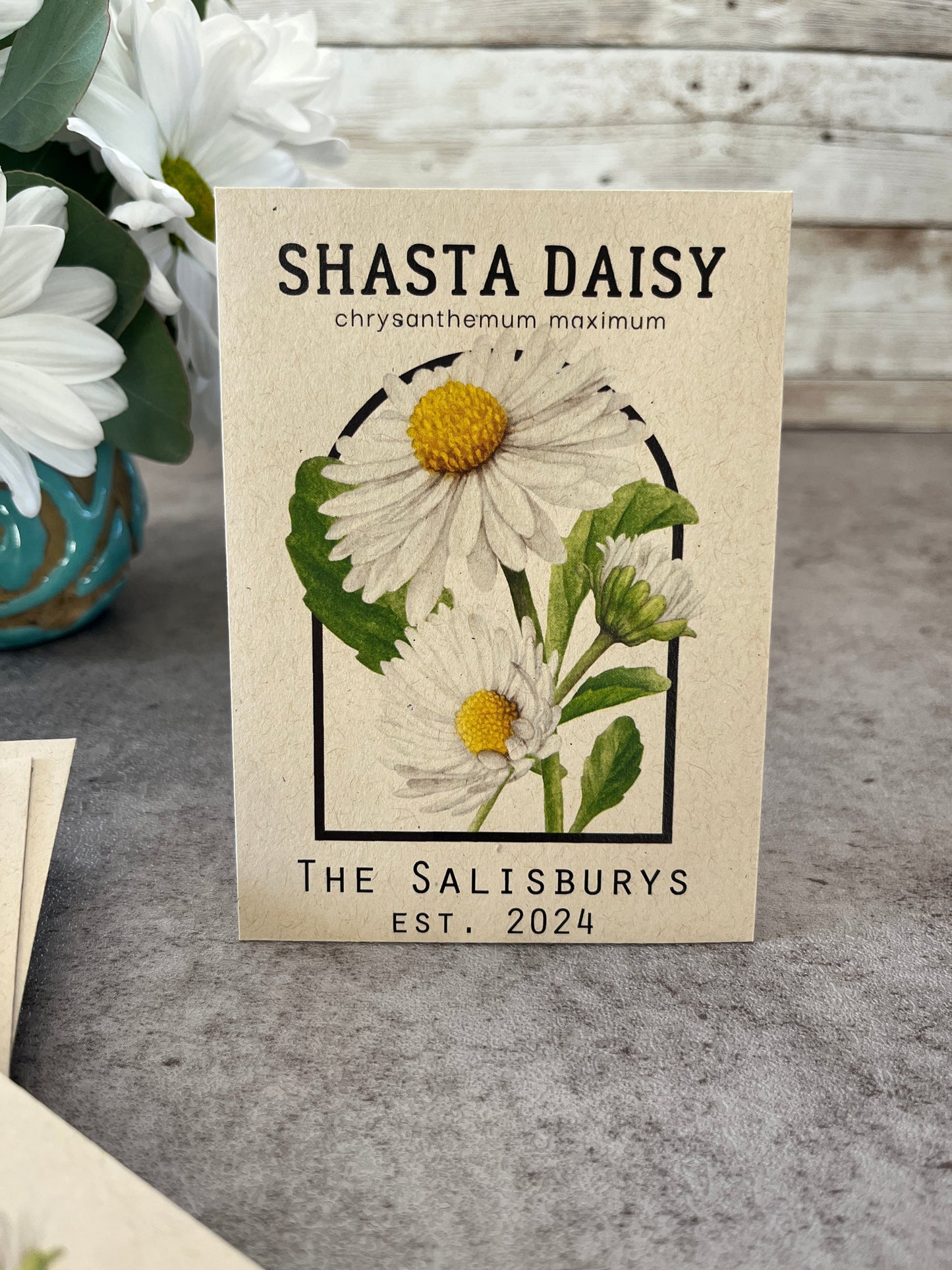 Shasta Daisy Vintage Seed Catalog