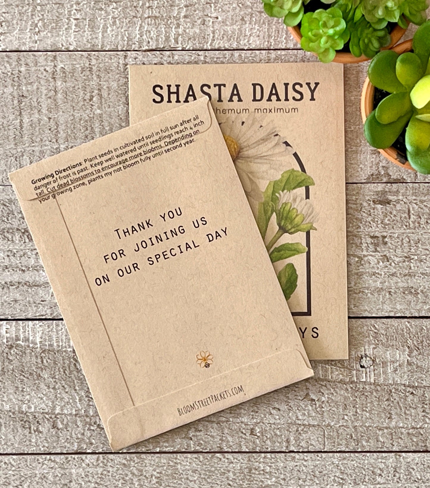 Shasta Daisy Vintage Seed Catalog