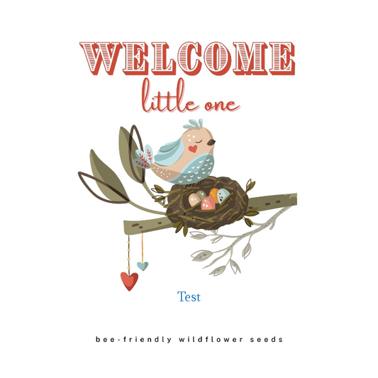 Welcome Little One Baby Seed Favor