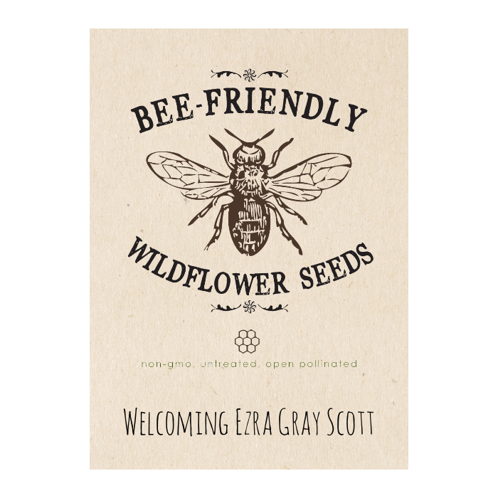 Bee-Friendly Wildflowers