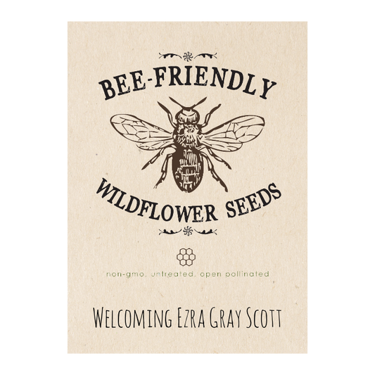 Bee-Friendly Wildflowers