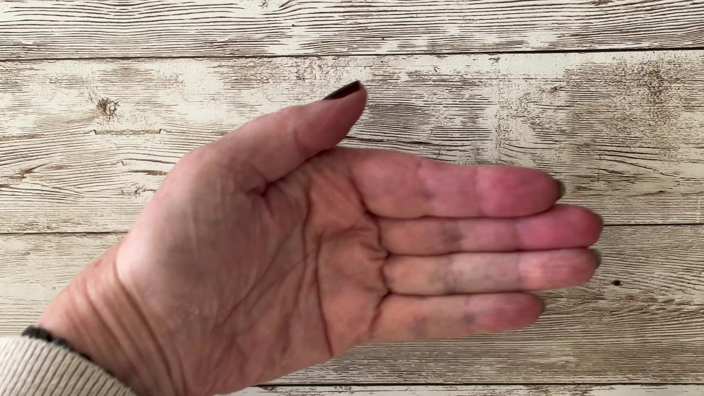Wildflower seed mix seeds pouring out of white seed packet into the palm of a hand. There are about 200 seeds pictures, or about 1/4 teaspoon.
